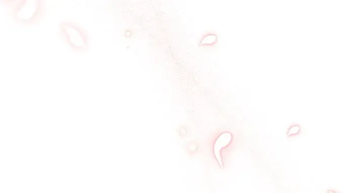 第64话 要和我跳舞吗？ 第314页