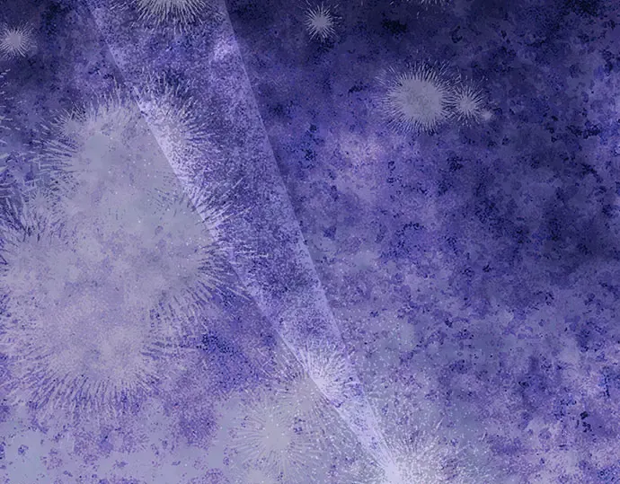 第78话 巴斯蒂安的秘密 第95页