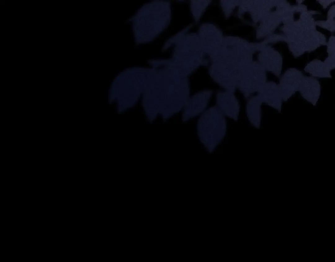 第108话 少年和公主 第228页
