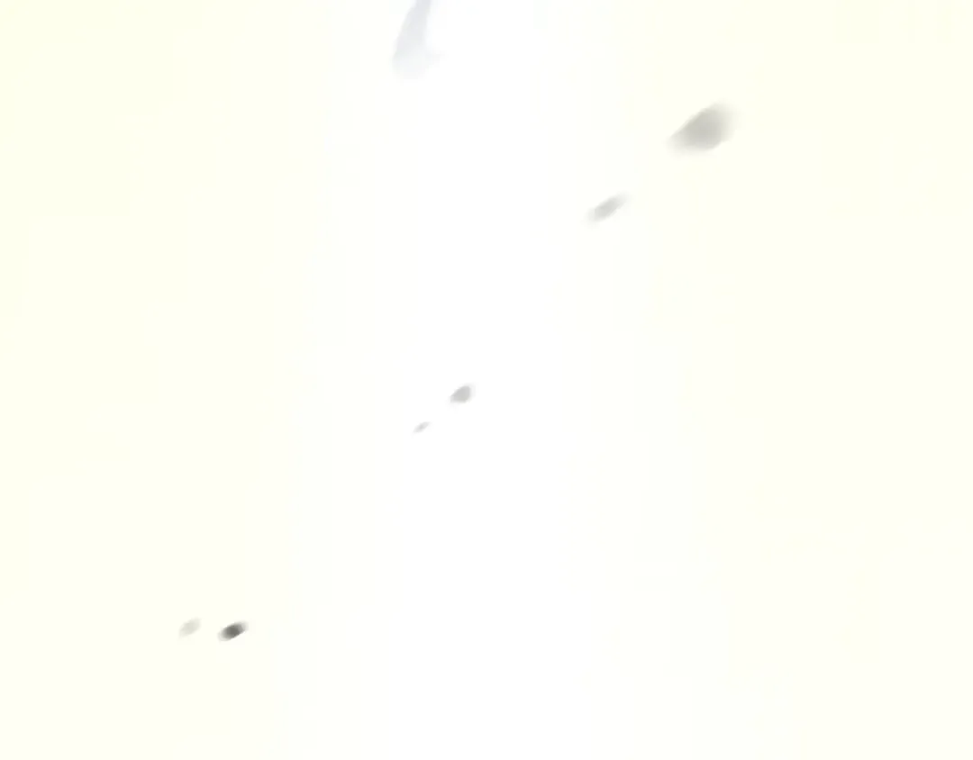 第114话 猎杀猎人之人 第374页