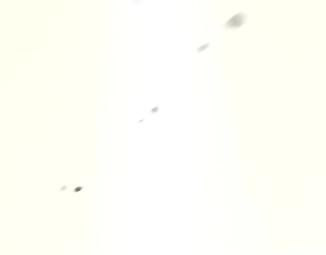 第115话 狩猎猎人 第11页