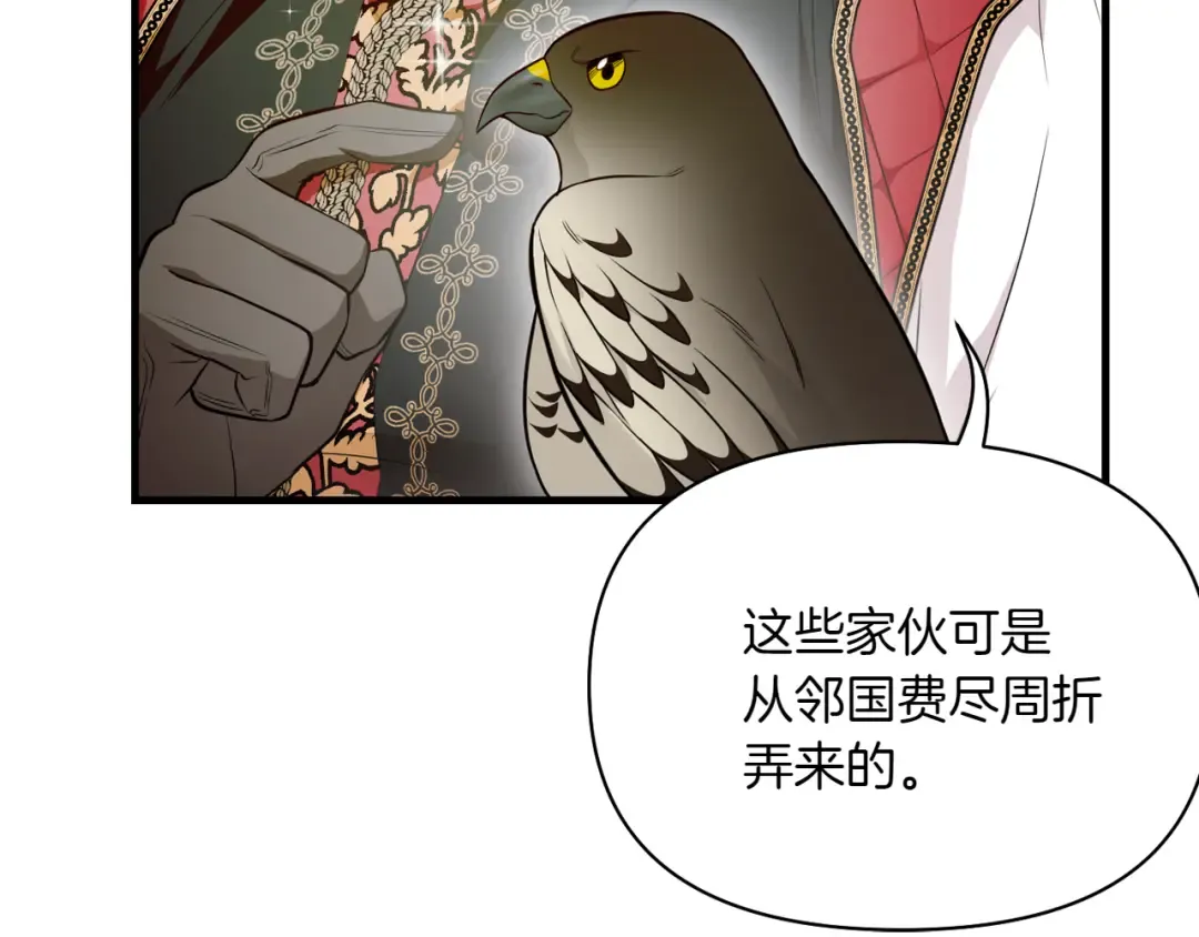 第123话 猎鹰大会 第156页