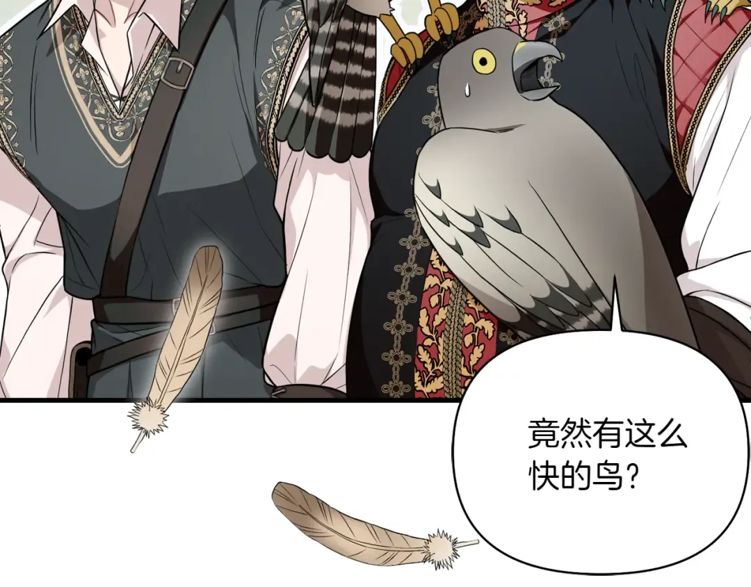 第123话 猎鹰大会 第169页