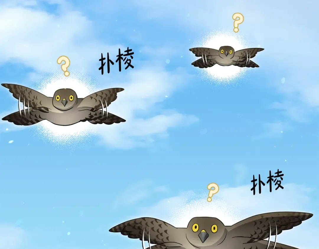 第123话 猎鹰大会 第189页