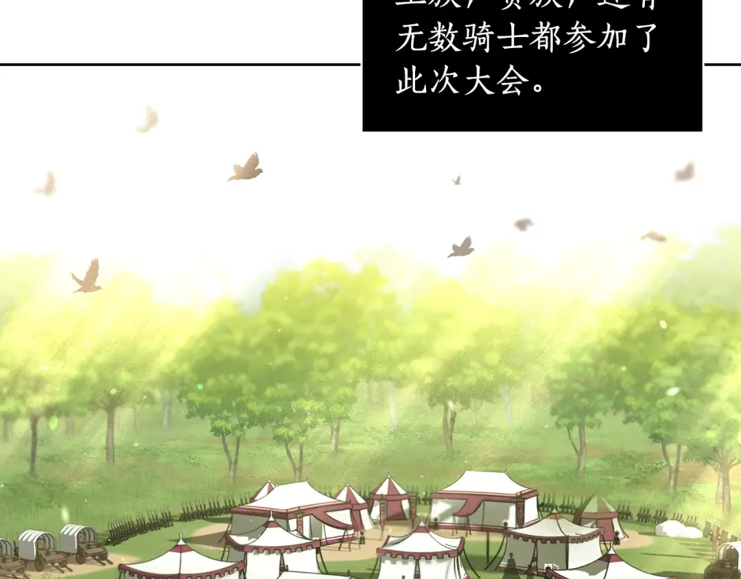 第123话 猎鹰大会 第217页