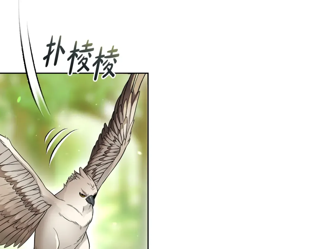 第123话 猎鹰大会 第220页
