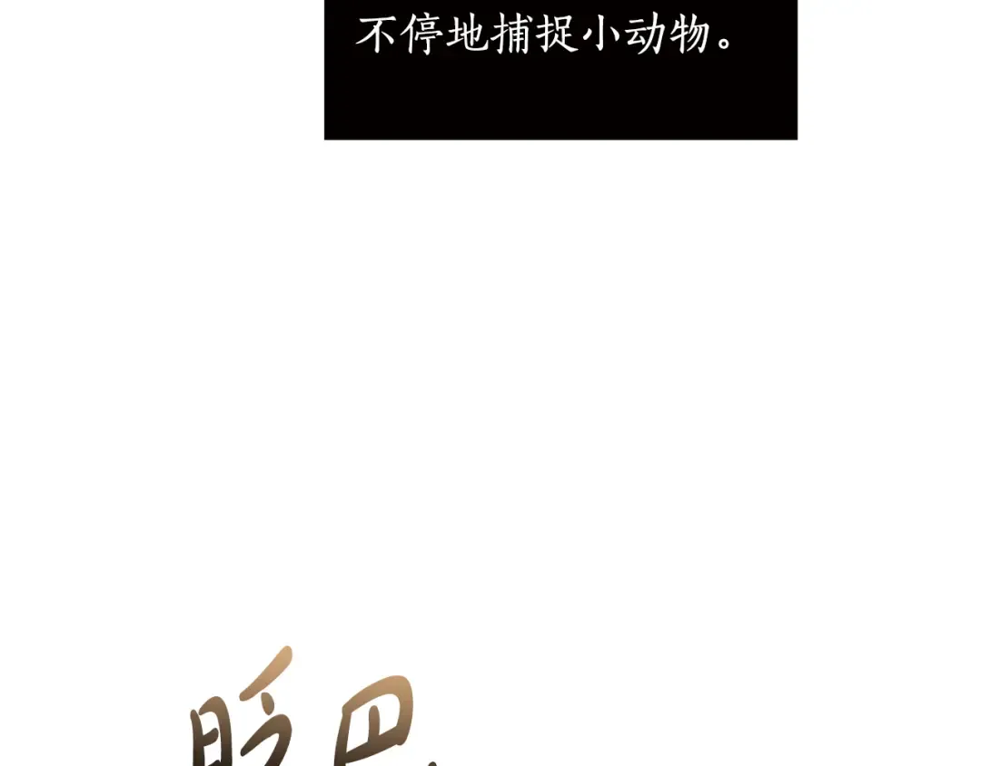 第123话 猎鹰大会 第223页