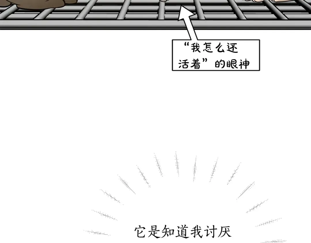 第123话 猎鹰大会 第226页