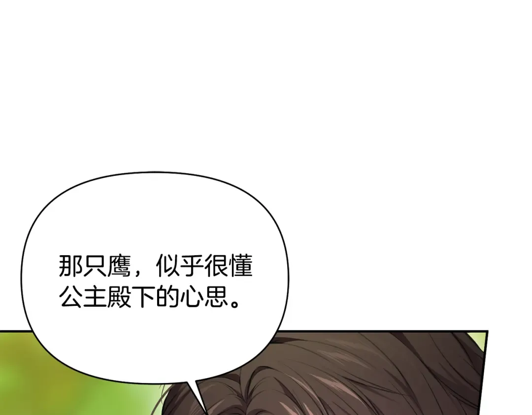 第123话 猎鹰大会 第230页