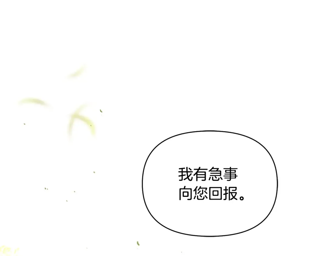 第123话 猎鹰大会 第277页