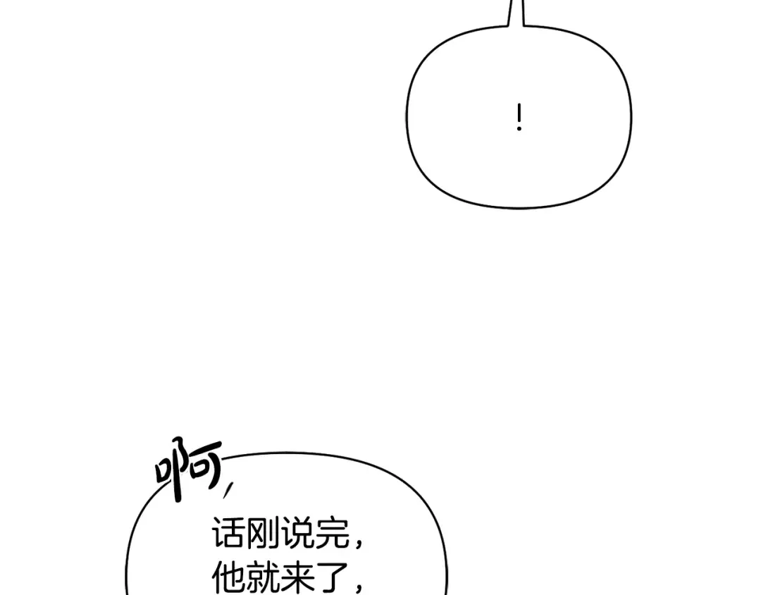 第142话 新的教皇 第259页