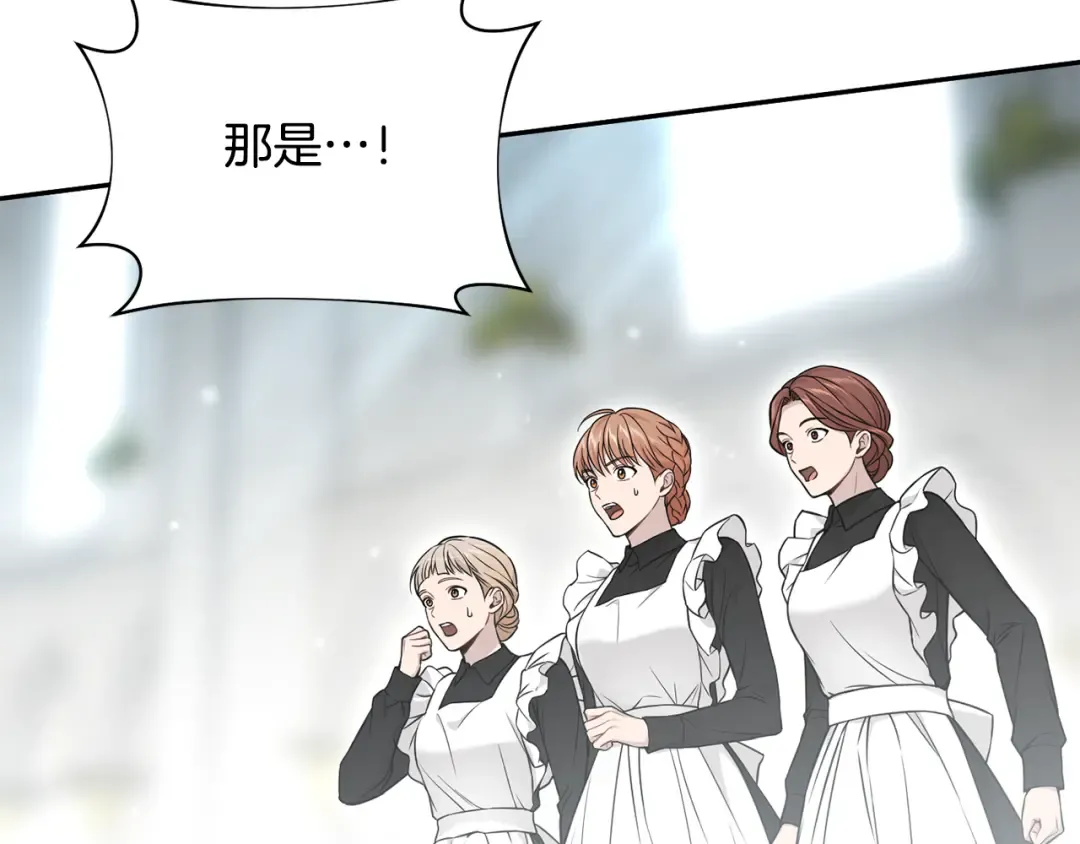 第142话 新的教皇 第340页