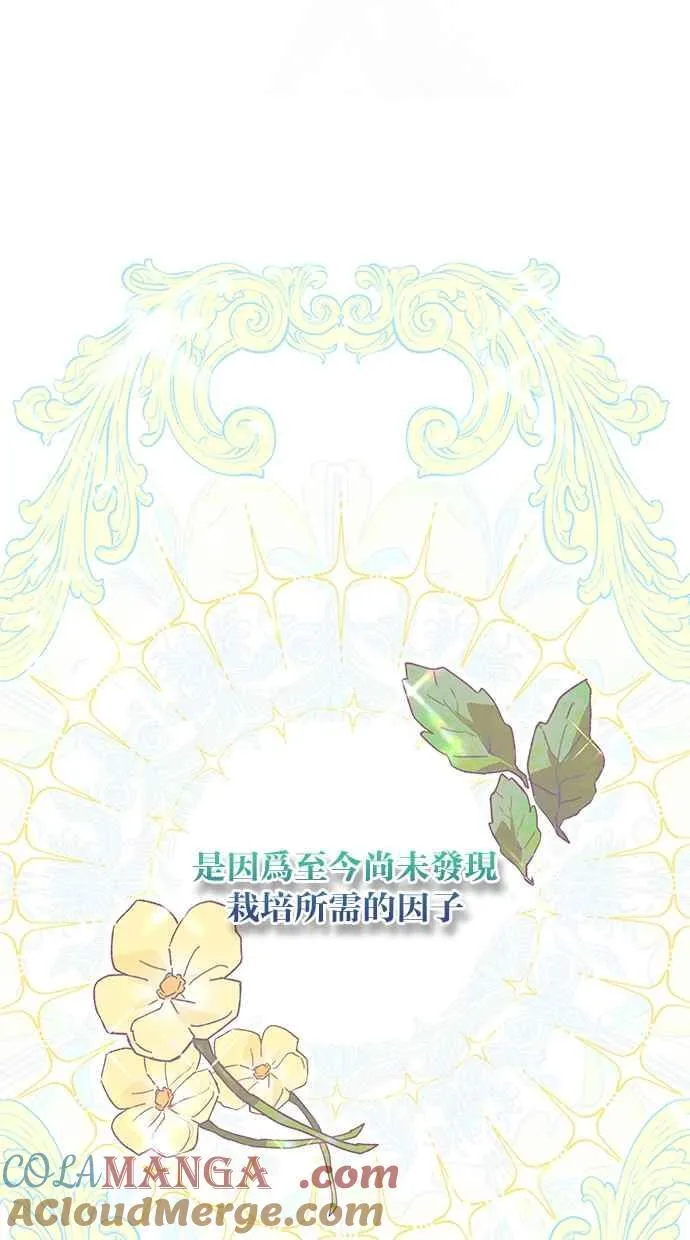 第58话 第40页