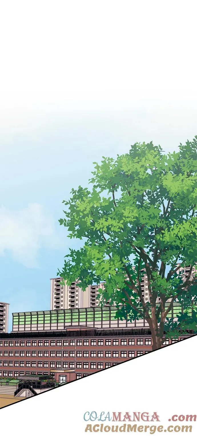 第126话 第28页