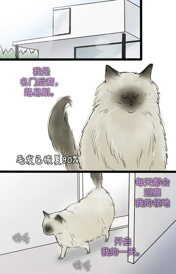第43话 第2页