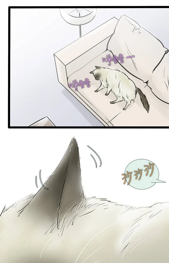 第43话 第8页
