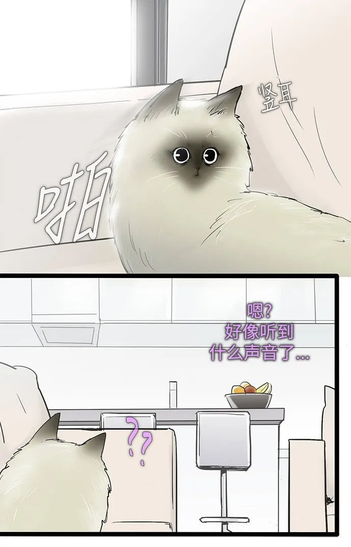 第43话 第9页