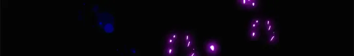 第41话 第69页