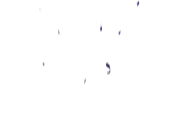 第45话 第51页