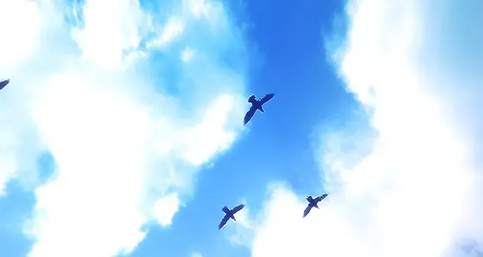 第46话 第4页