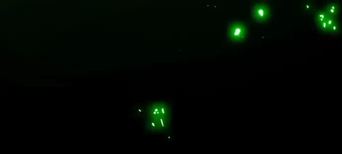 第48话 第137页