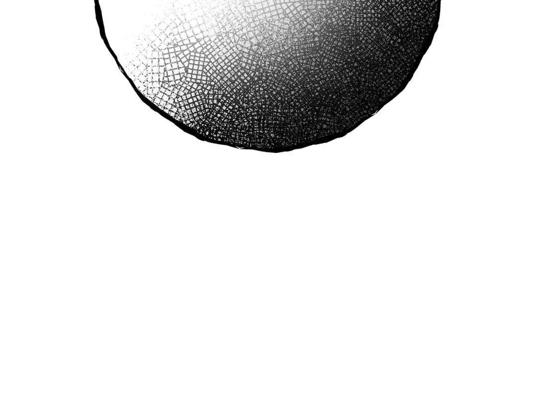 第84话 菜鸟的外交方式（2） 第253页