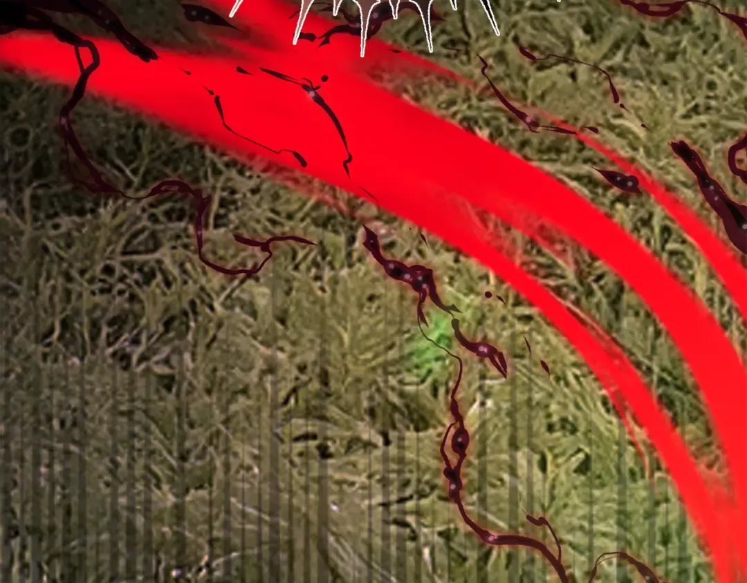 第109话 服务器合并 第181页