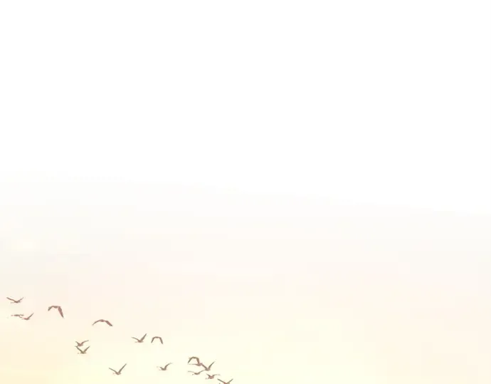第140话 后期危机（2） 第73页