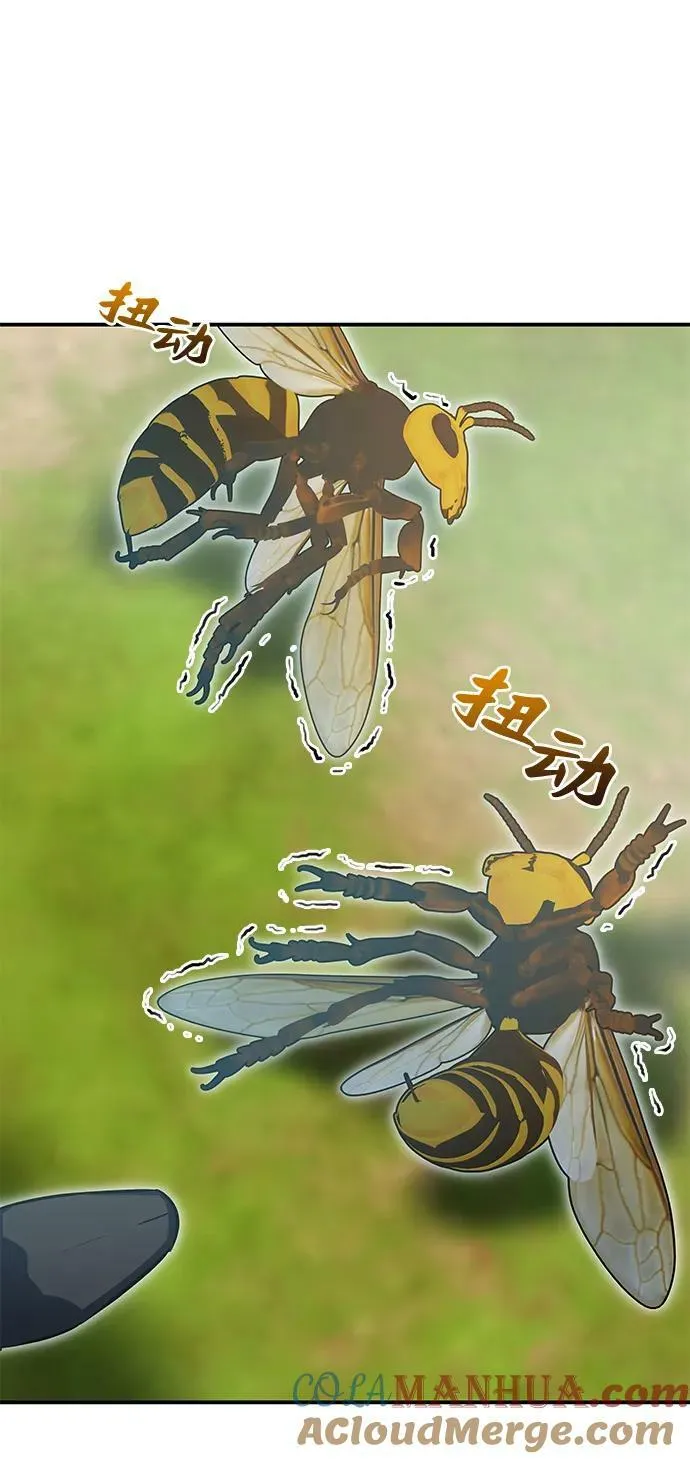 第40话 第5页