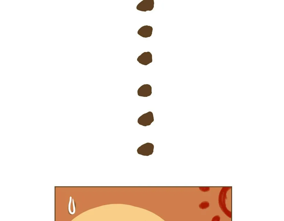 4 第11页