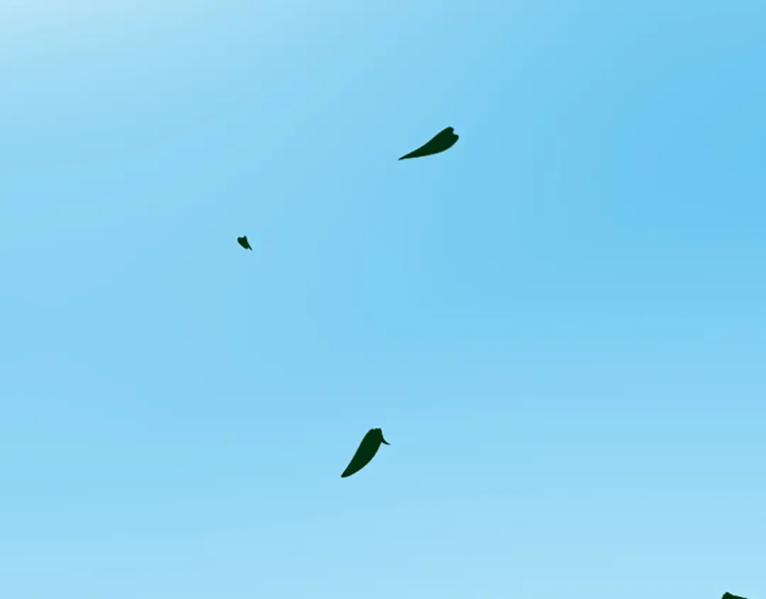 第1季第1话 我死了？ 第85页