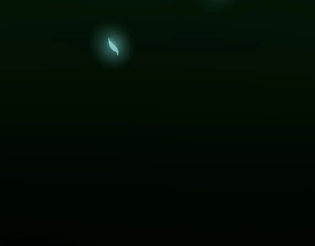 第1季第11话 苏醒 第167页