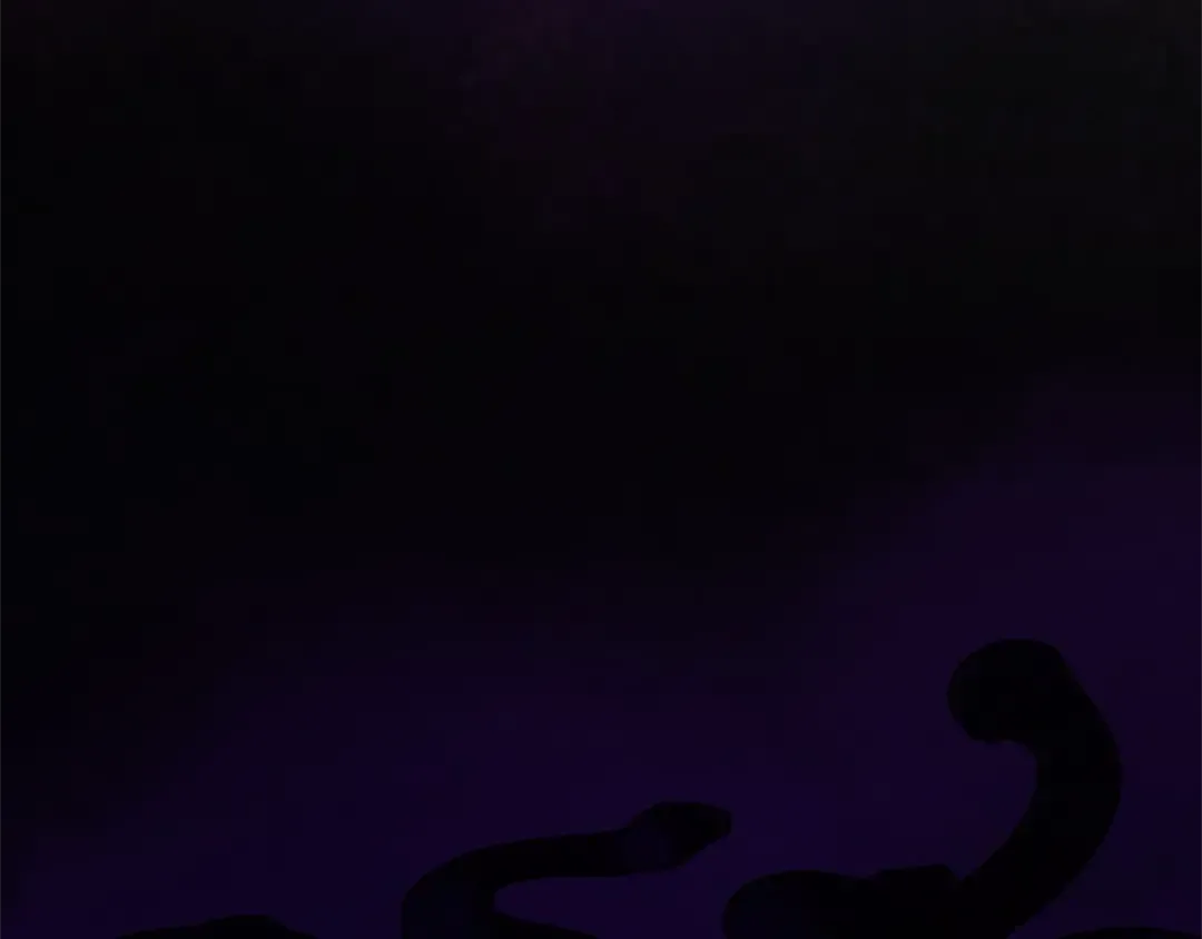 第1季第23话 诡异的魔法 第5页