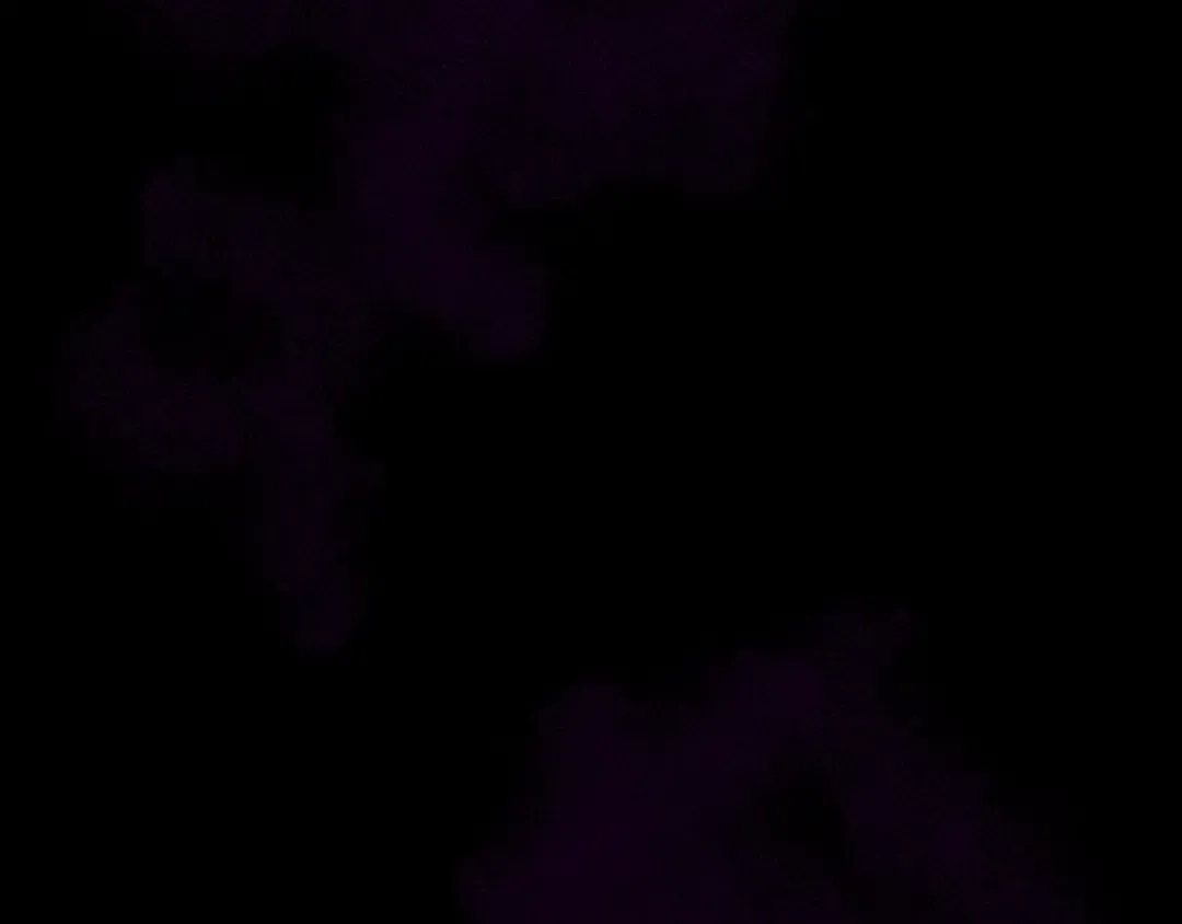 第3季第57话 面具的传说 第237页