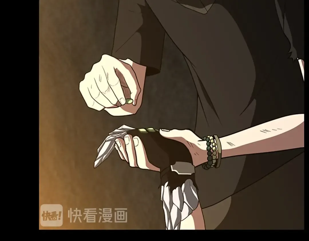 第3季第68话 伙伴 第27页