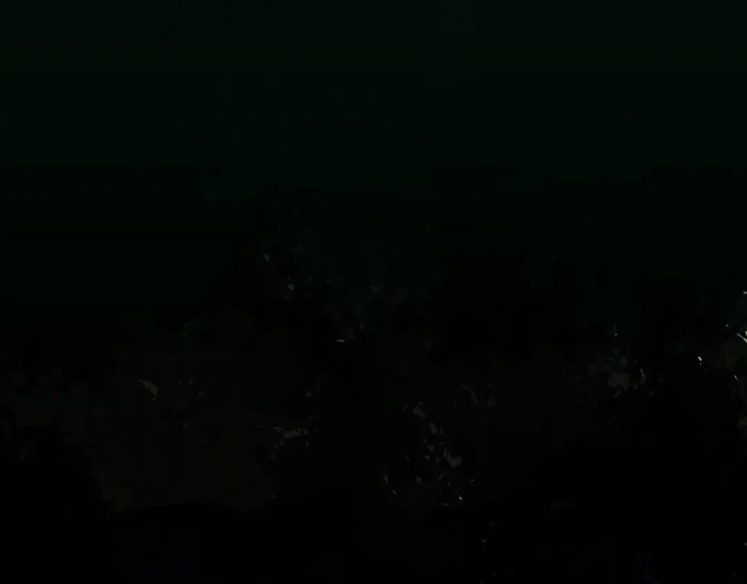 第4季第114话 初心 第166页