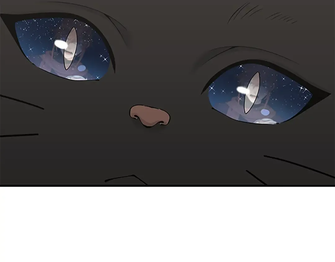 第4季第125话 大陆的未来 第161页