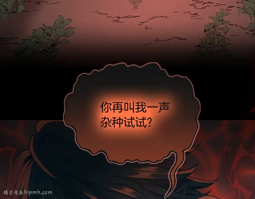 第5季第132话 一心向阳 第248页
