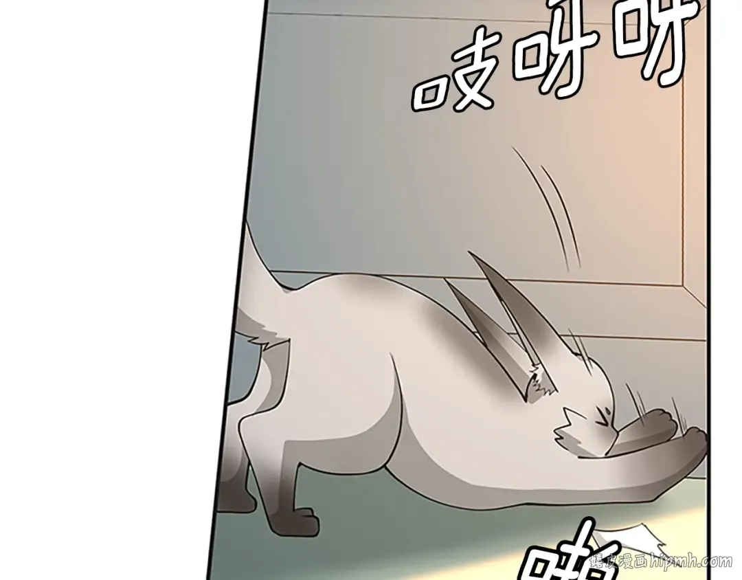 第5季第133话 大战在即 第112页