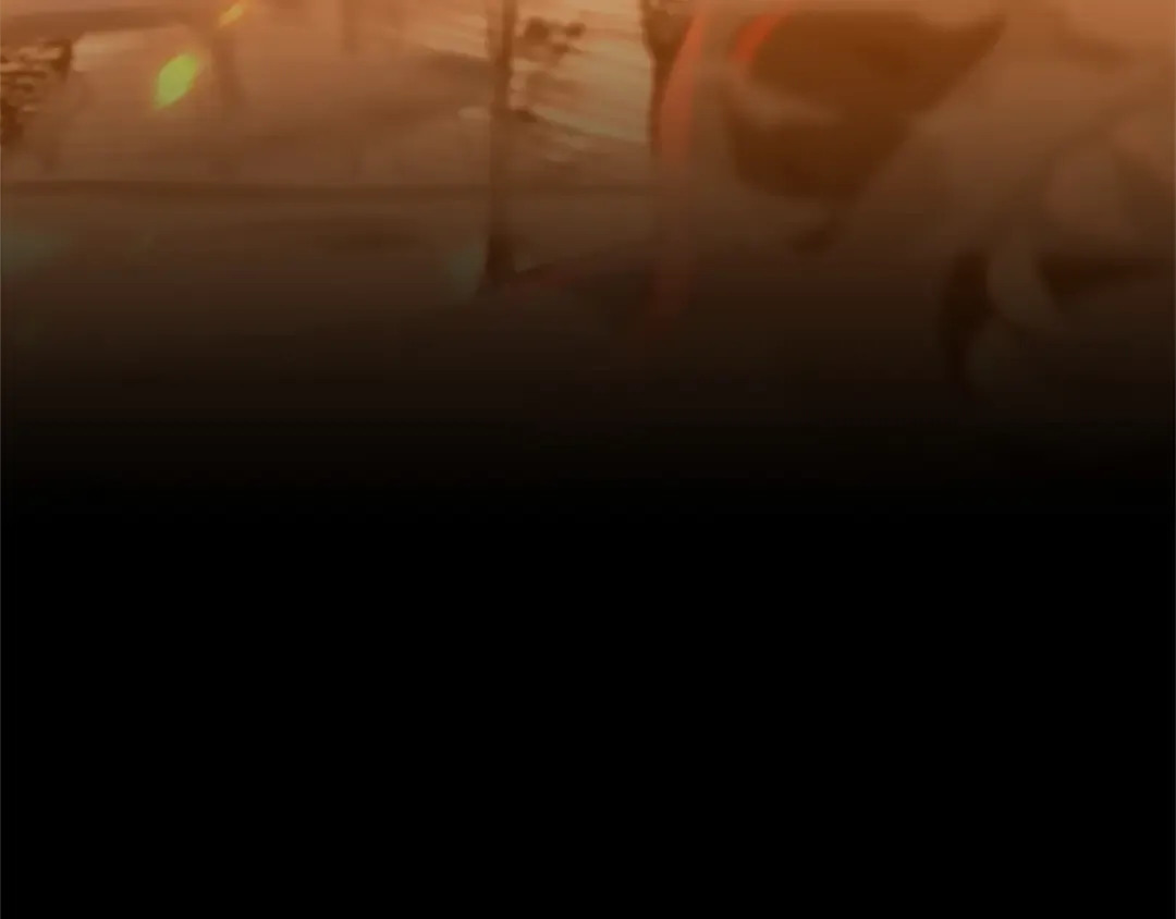 第5季第138话 为了萨尔罗斯 第273页