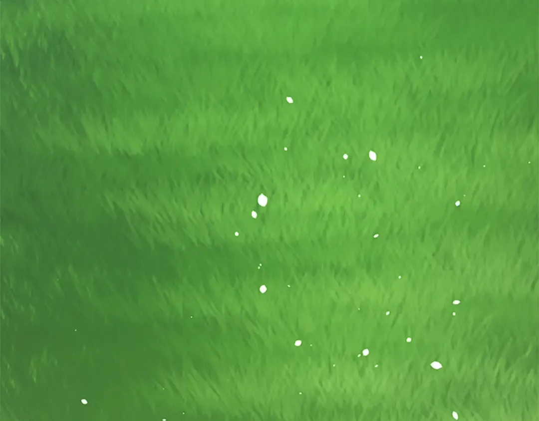 第5季第154话 新目标 第94页