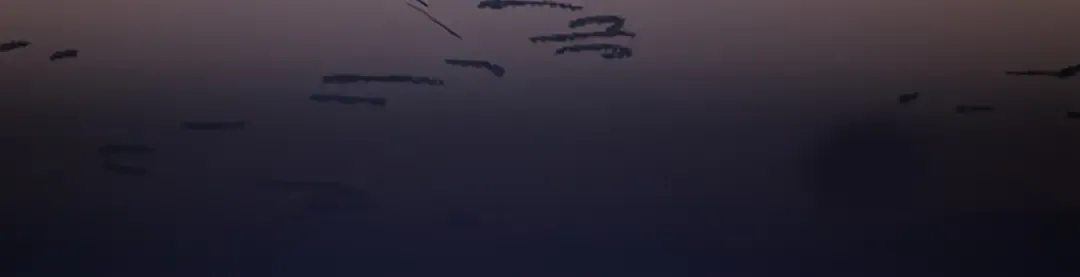 第5季第157话 恶魔水蛭 第103页