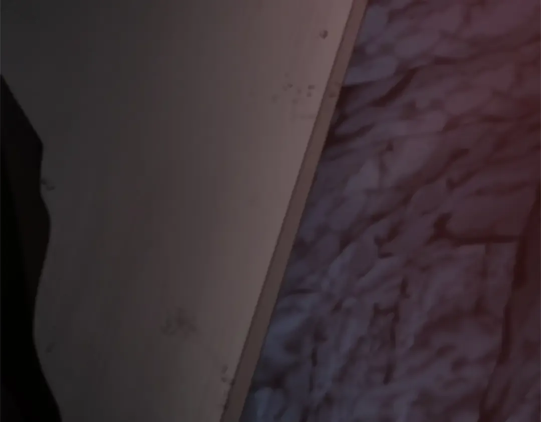 第5季第171话 深入 第185页