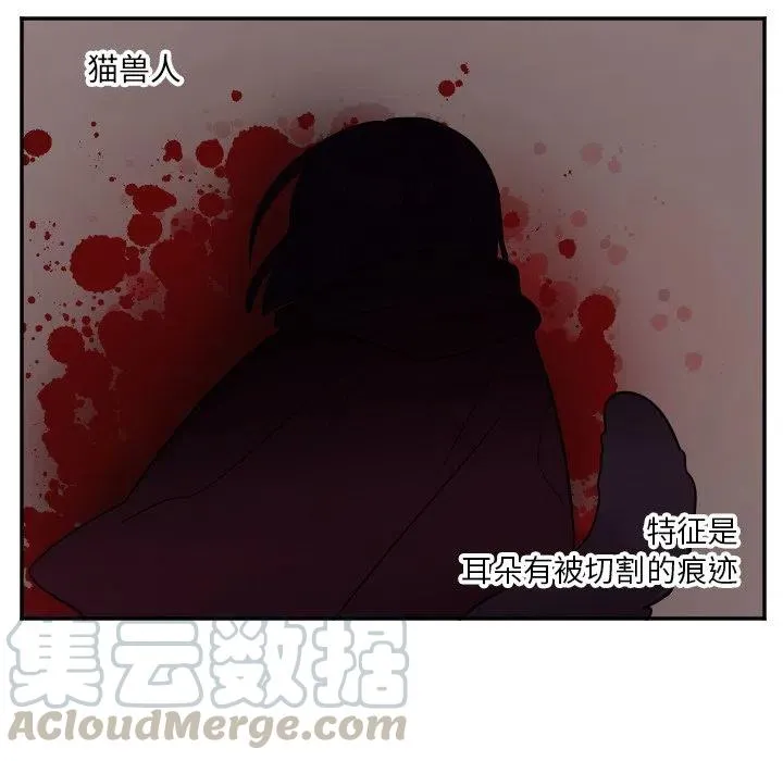 第 36 话 第19页