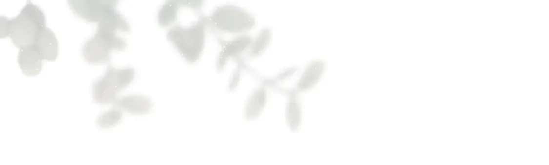 番外3 婚礼见证人 第181页