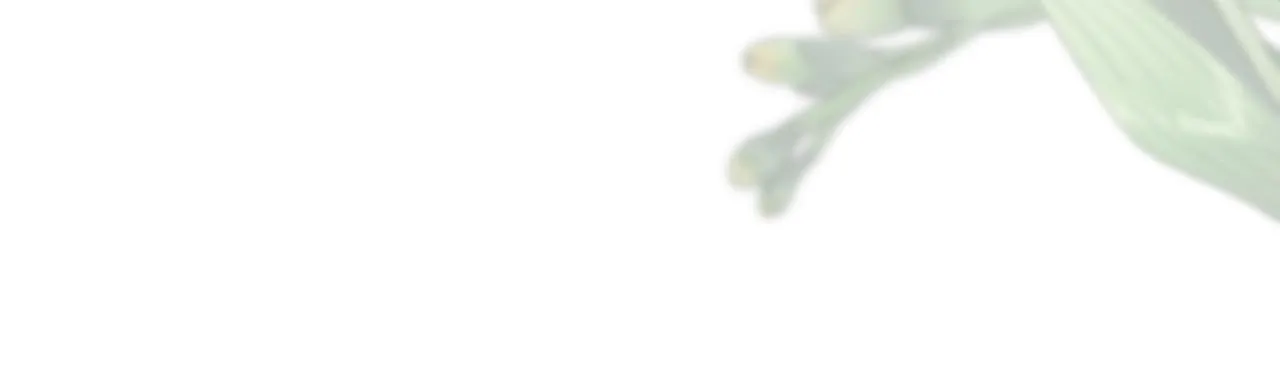 第35话 求婚 第151页