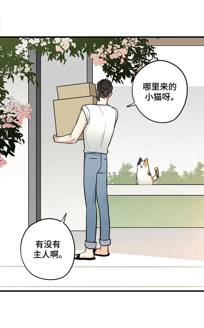 第36话 第19页
