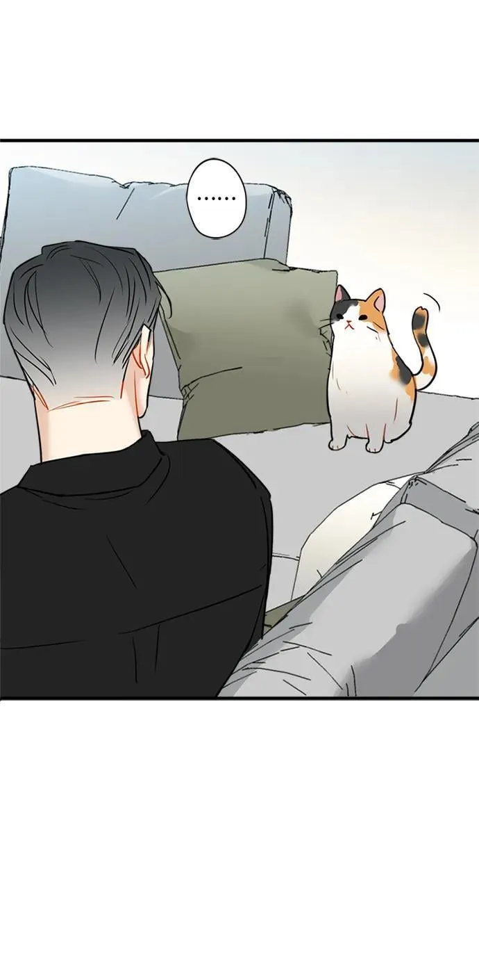 第36话 第32页