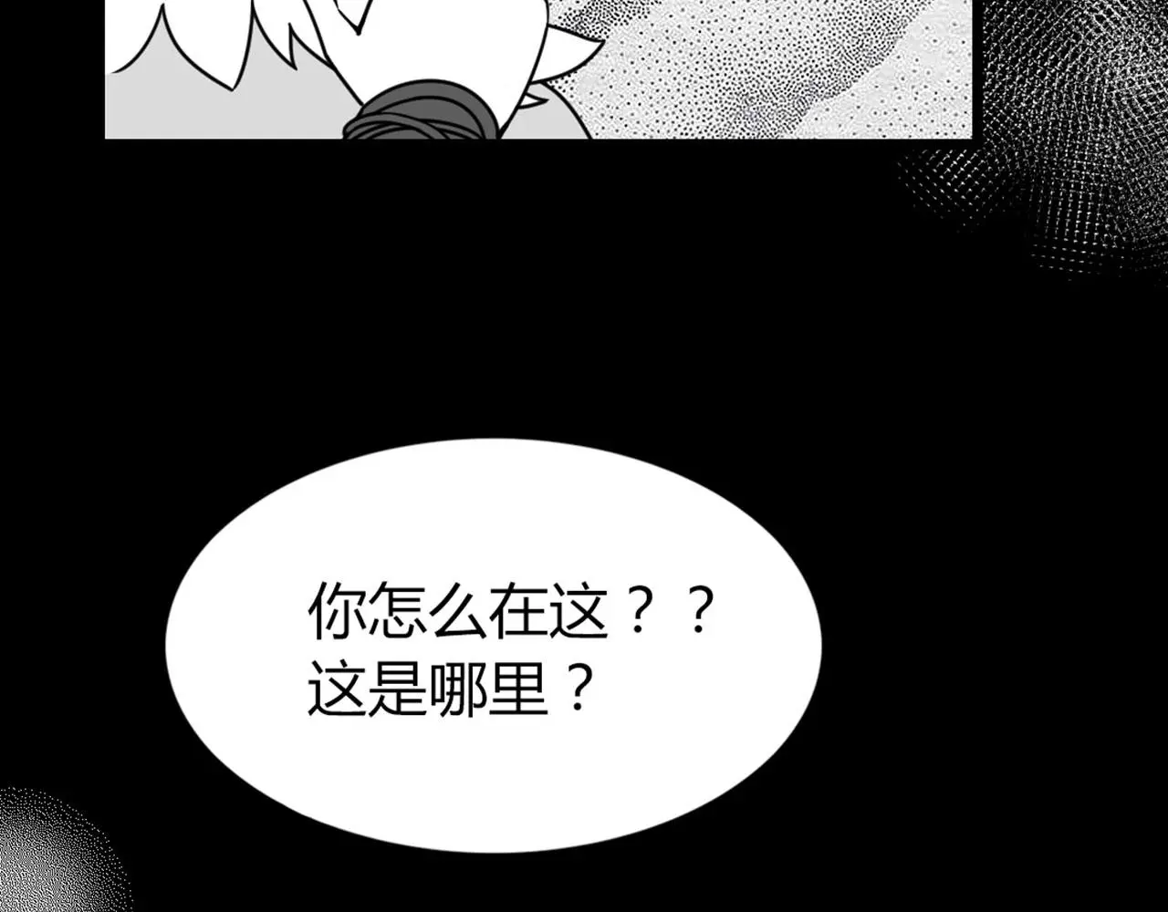 28白狼之耻 第147页