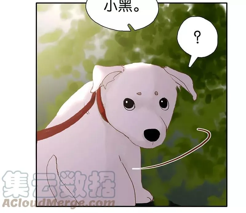 番外5 十年 第31页